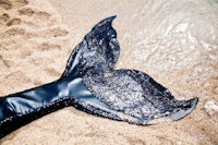 a black mermaid tail lying on the sand